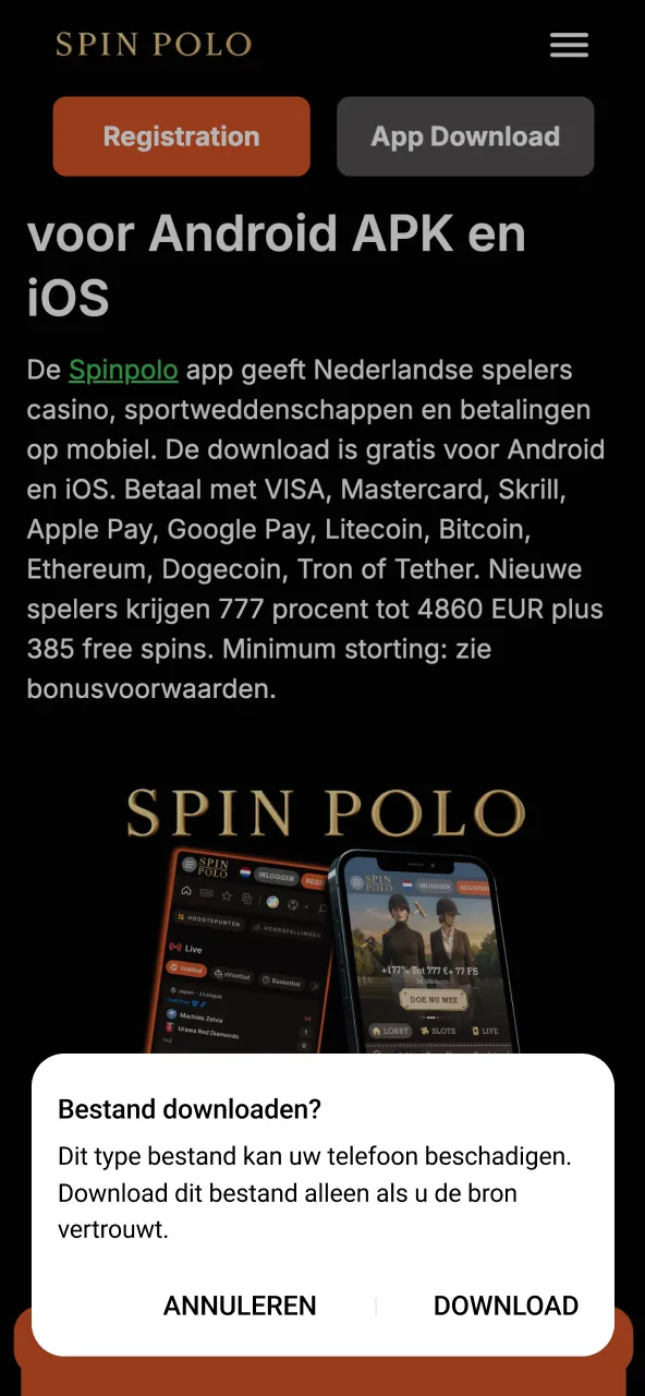 Sta de melding toe en sla het Spinpolo bestand meteen op.