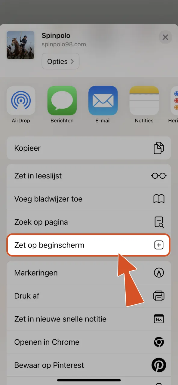 Selecteer toevoegen aan beginscherm om Spinpolo snel toegankelijk te maken.