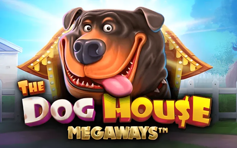 The Dog House spelen op Spinpolo met twee bonusrondes.
